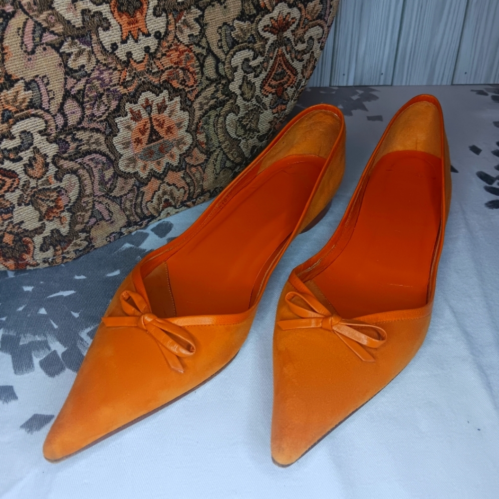 Delman Pointed Toe Flats